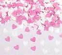 la vi en rose